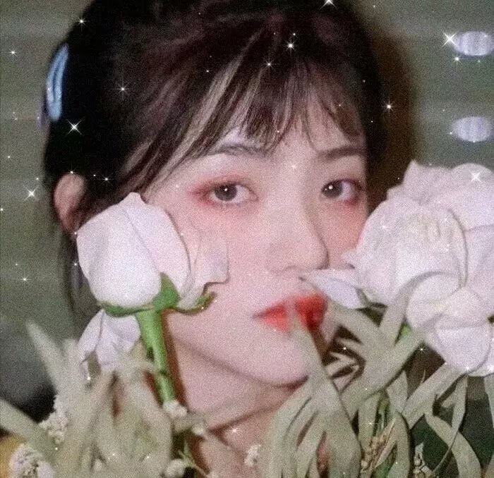 一个人的朝圣